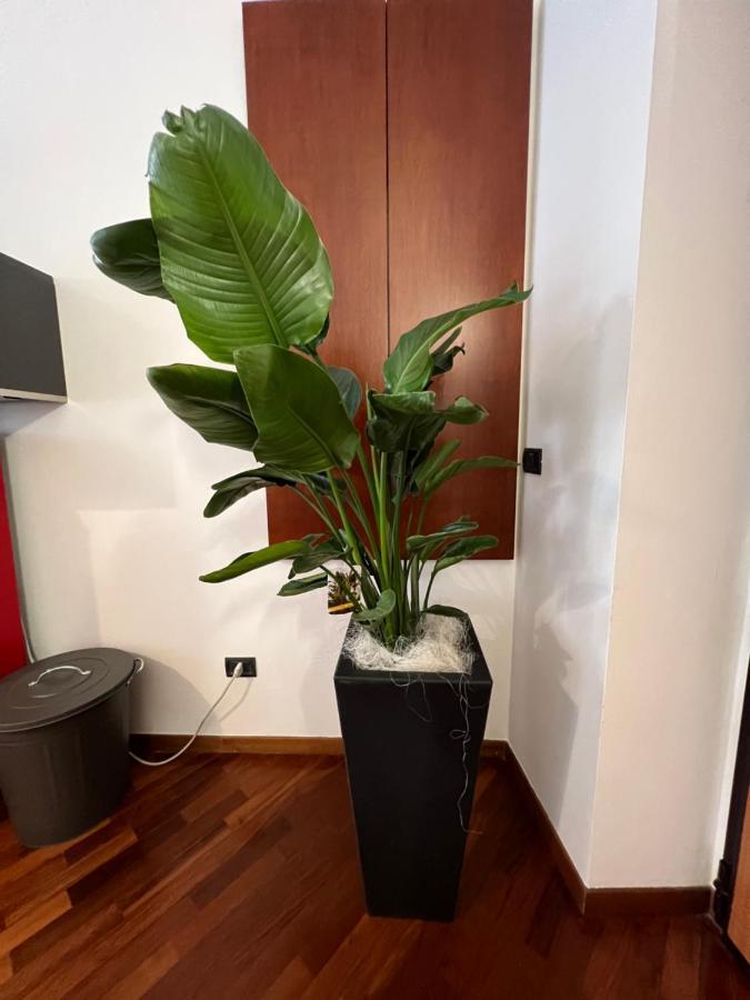 Effealatapartments - Appartamento Del Duca Senigallia Ngoại thất bức ảnh