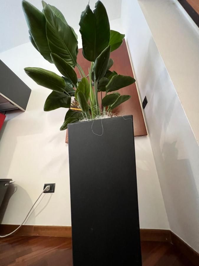 Effealatapartments - Appartamento Del Duca Senigallia Ngoại thất bức ảnh